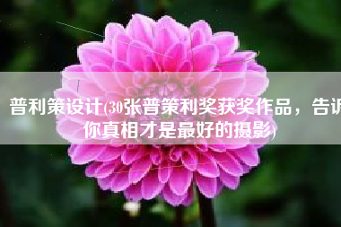 普利策设计(30张普策利奖获奖作品，告诉你真相才是最好的摄影)