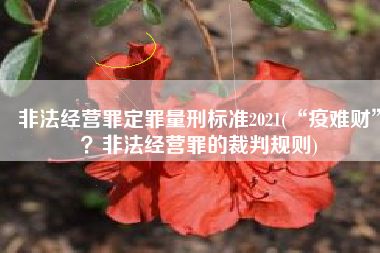 非法经营罪定罪量刑标准2021(“疫难财”？非法经营罪的裁判规则)
