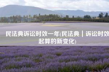 民法典诉讼时效一年(民法典｜诉讼时效起算的新变化)