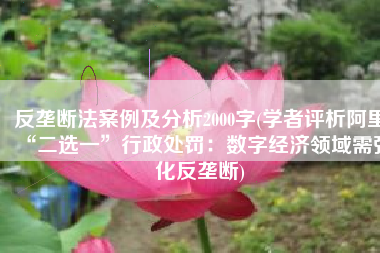 反垄断法案例及分析2000字(学者评析阿里“二选一”行政处罚：数字经济领域需强化反垄断)