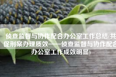 侦查监督与协作配合办公室工作总结(共促刑案办理质效——侦查监督与协作配合办公室工作成效明显)