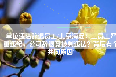 单位违法辞退员工(北京海淀：三员工严重违纪，公司辞退竟被判违法？背后有个共同原因)