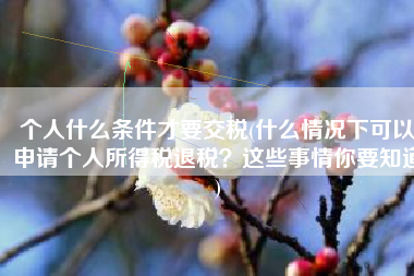 个人什么条件才要交税(什么情况下可以申请个人所得税退税？这些事情你要知道)