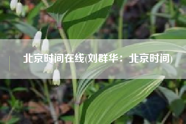 北京时间在线(刘群华：北京时间)