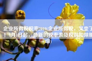 企业所得税税率2019(企业所得税，又变了！4月1日起，最新的税率表及税前扣除明细)