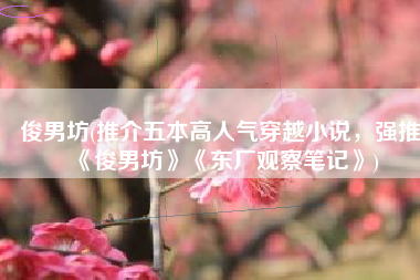 俊男坊(推介五本高人气穿越小说，强推《俊男坊》《东厂观察笔记》)