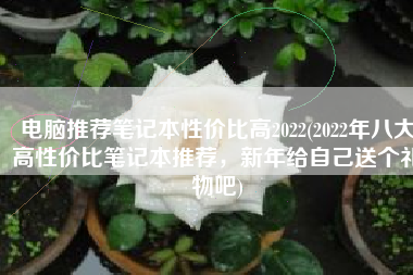 电脑推荐笔记本性价比高2022(2022年八大高性价比笔记本推荐，新年给自己送个礼物吧)