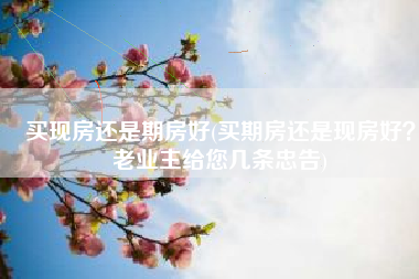 买现房还是期房好(买期房还是现房好？老业主给您几条忠告)