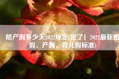 陪产假多少天2022规定(定了！2022最新婚假、产假、育儿假标准)