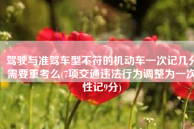 驾驶与准驾车型不符的机动车一次记几分需要重考么(7项交通违法行为调整为一次性记9分)