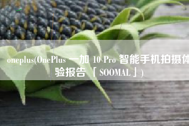 oneplus(OnePlus 一加 10 Pro 智能手机拍摄体验报告 「SOOMAL」)