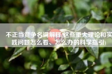 不正当竞争名词解释(这些重大理论和实践问题怎么看、怎么办的科学指引)
