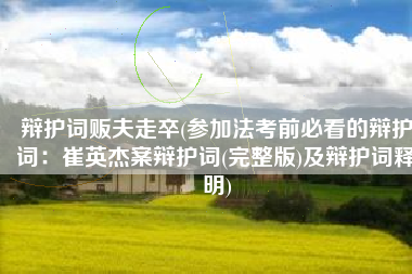 辩护词贩夫走卒(参加法考前必看的辩护词：崔英杰案辩护词(完整版)及辩护词释明)