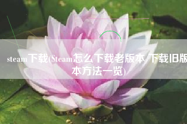 steam下载(Steam怎么下载老版本 下载旧版本方法一览)
