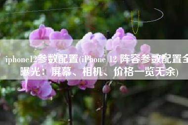 iphone12参数配置(iPhone 12 阵容参数配置全曝光：屏幕、相机、价格一览无余)