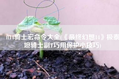 ff14骑士宏命令大全(《最终幻想14》极泰坦骑士副T巧用保护小技巧)