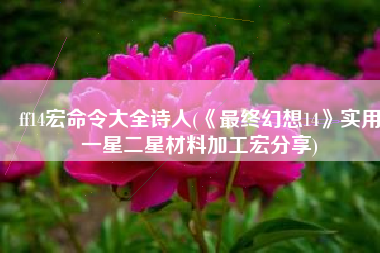ff14宏命令大全诗人(《最终幻想14》实用一星二星材料加工宏分享)