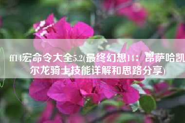 ff14宏命令大全5.2(最终幻想14：昂萨哈凯尔龙骑士技能详解和思路分享)