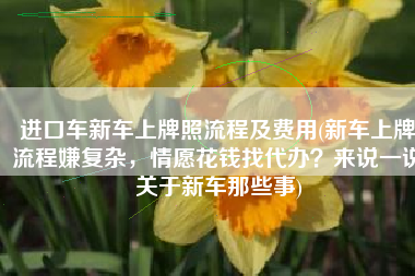 进口车新车上牌照流程及费用(新车上牌流程嫌复杂，情愿花钱找代办？来说一说关于新车那些事)