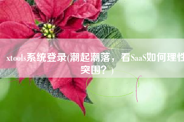 xtools系统登录(潮起潮落，看SaaS如何理性突围？)