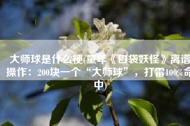 大师球是什么梗(童年《口袋妖怪》离谱操作：200块一个“大师球”，打雷100%命中)