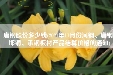 唐钢股份多少钱(2021年11月份河钢、唐钢、邯钢、承钢板材产品结算价格的通知)