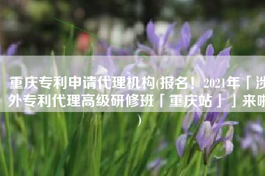 重庆专利申请代理机构(报名！2021年「涉外专利代理高级研修班「重庆站」」来啦)