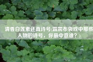 清香白莲素还真诗号(霹雳布袋戏中那些人物的诗号，你最中意谁？)