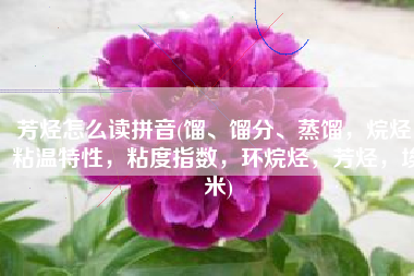 芳烃怎么读拼音(馏、馏分、蒸馏，烷烃，粘温特性，粘度指数，环烷烃，芳烃，埃米)