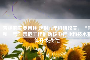 芳烃的主要用途(历时12年科研攻关，“国和一号”示范工程推动核电行业和技术整体升级换代)