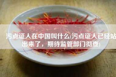 污点证人在中国叫什么(污点证人已经站出来了，期待监管部门彻查)