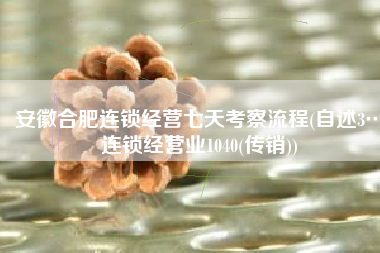 安徽合肥连锁经营七天考察流程(自述3…连锁经营业1040(传销))