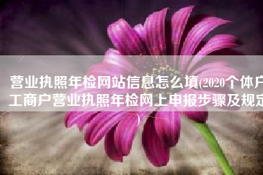 营业执照年检网站信息怎么填(2020个体户工商户营业执照年检网上申报步骤及规定)