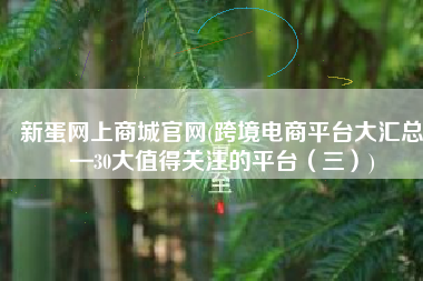 新蛋网上商城官网(跨境电商平台大汇总—30大值得关注的平台（三）)
