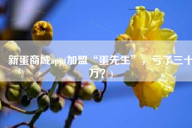 新蛋商城app(加盟“蛋先生”，亏了三十万？)