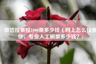 微信投票投1000票多少钱（网上怎么投票快，专业人工刷票多少钱？)