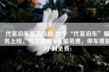 代客泊车服务流程(南宁“代客泊车”服务上线，每次收取39元服务费，停车费前2小时免费)