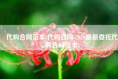 代购合同范本(代购合同-2020最新委托代购合同范本)