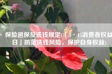 保险退保反洗钱规定(「3·15消费者权益日」防范洗钱风险，保护自身权益)
