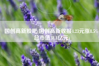 国创高新股吧(国创高新收报4.23元涨8.5% 总市值38.8亿元)