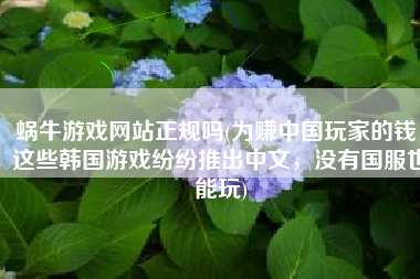 蜗牛游戏网站正规吗(为赚中国玩家的钱，这些韩国游戏纷纷推出中文，没有国服也能玩)