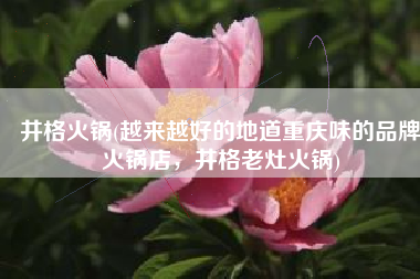 井格火锅(越来越好的地道重庆味的品牌火锅店，井格老灶火锅)
