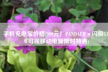 手机充电宝价格(999元！PANDAER×闪极130W可视移动电源限时特惠)