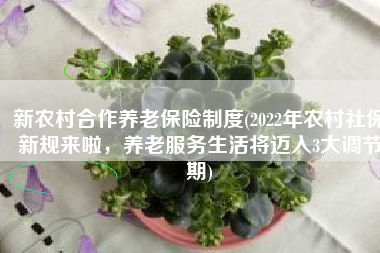 新农村合作养老保险制度(2022年农村社保新规来啦，养老服务生活将迈入3大调节期)