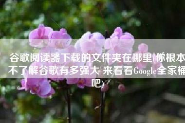 谷歌阅读器下载的文件夹在哪里(你根本不了解谷歌有多强大 来看看Google全家桶吧)