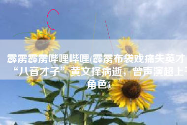 霹雳霹雳哔哩哔哩(霹雳布袋戏痛失英才，“八音才子”黄文择病逝，曾声演超上千角色)