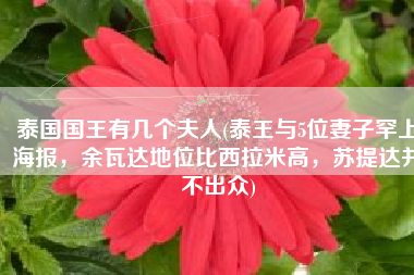 泰国国王有几个夫人(泰王与5位妻子罕上海报，余瓦达地位比西拉米高，苏提达并不出众)