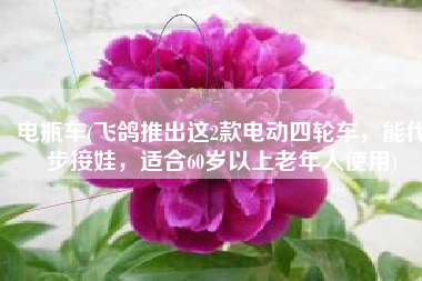 电瓶车(飞鸽推出这2款电动四轮车，能代步接娃，适合60岁以上老年人使用)