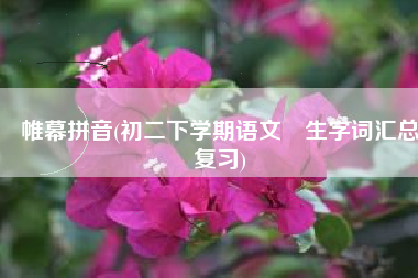 帷幕拼音(初二下学期语文​生字词汇总复习)