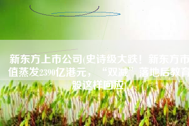 新东方上市公司(史诗级大跌！新东方市值蒸发2390亿港元，“双减”落地后教育股这样回应)